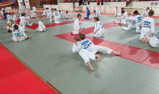 judo patronat pjg
